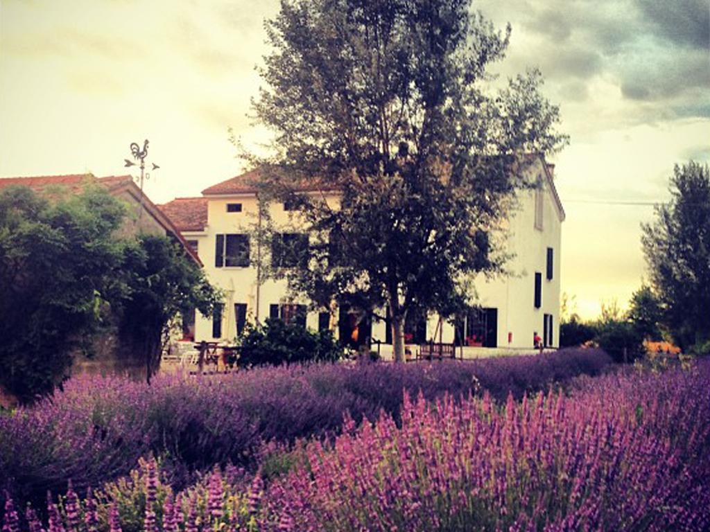 Agriturismo Viridarium Castellucchio 外观 照片