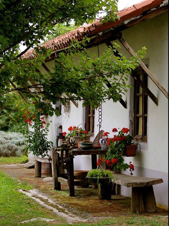Agriturismo Viridarium Castellucchio 外观 照片