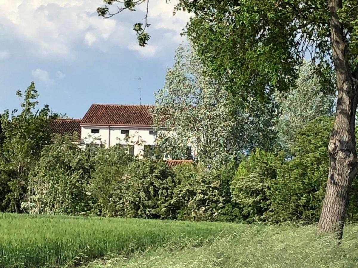 Agriturismo Viridarium Castellucchio 外观 照片